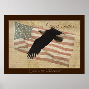 FLAG OF MY HOMELAND ~Bald Eagle US Flag Poster