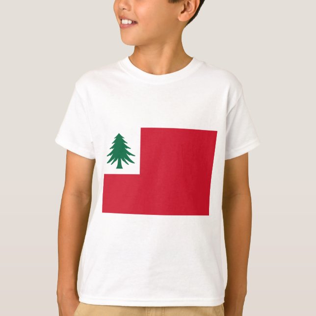 Flag of New England T-Shirt (Front)