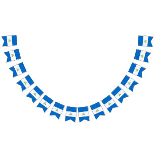 Flag of Nicaragua
