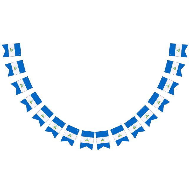 Flag of Nicaragua (All)