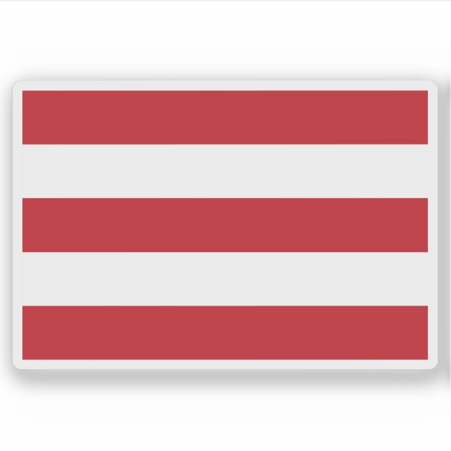 Flag of Oostergo, the Netherlands (Front)