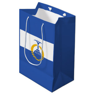 Flag of Orlando, Florida Medium Gift Bag