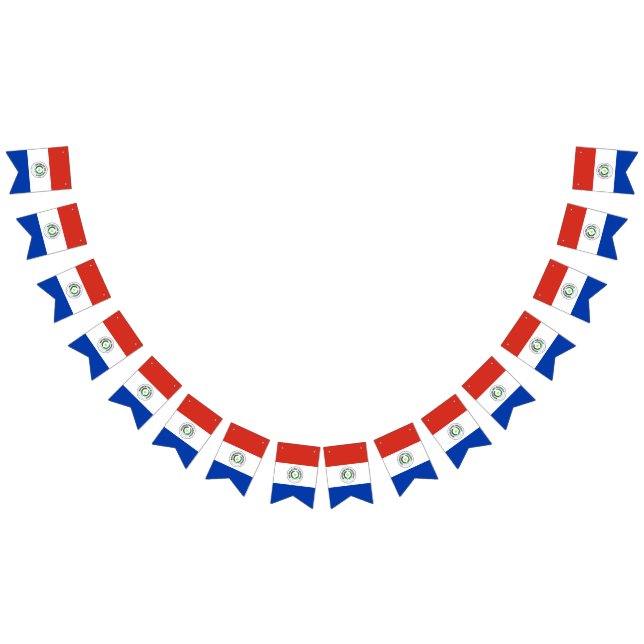 Flag of Paraguay (All)