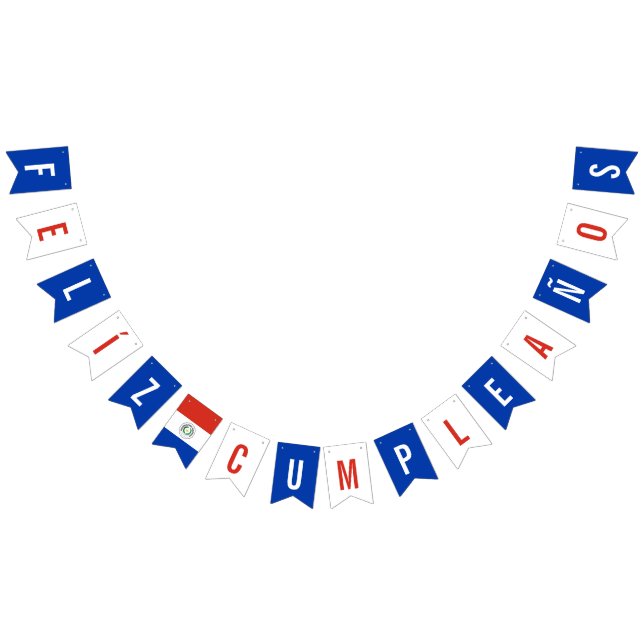 Flag of Paraguay Birthday Party Decorations (All)