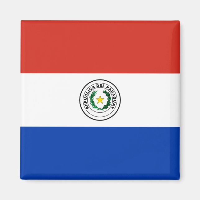 Flag of Paraguay Magnet (Front)