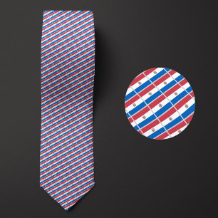 Flag of Paraguay Pattern Tie
