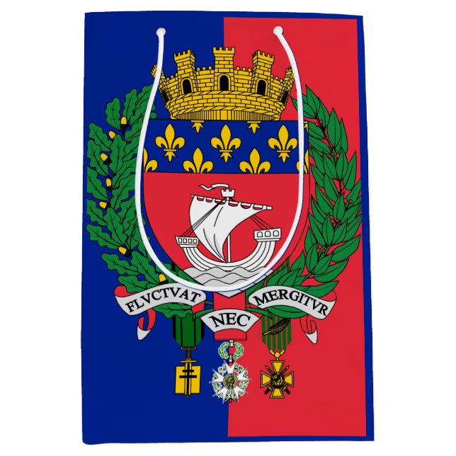 Flag of Paris, France Medium Gift Bag (Front)