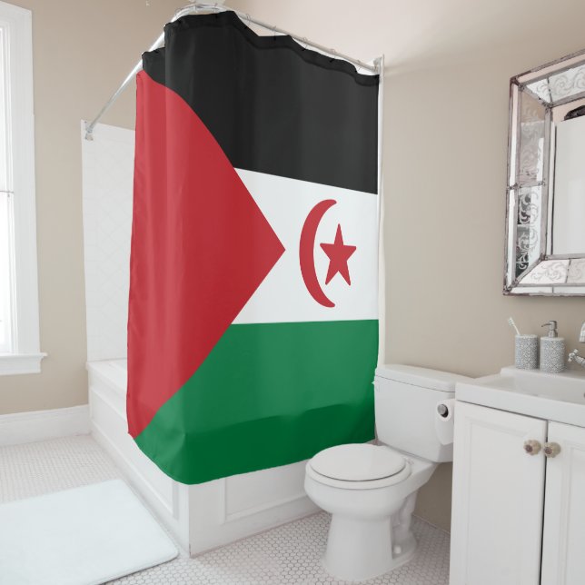 Flag of Saharan Arab Democratic Republic (In Situ)