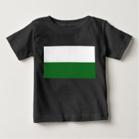 Flag of Saxony (German State)