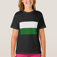 Flag of Saxony (German State)