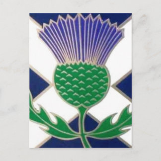Flag of Scotland and Thistle Postcard