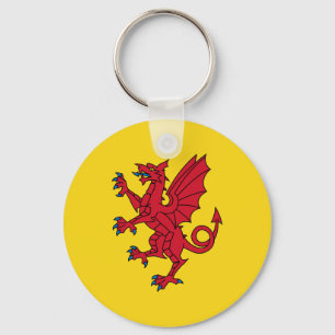 Flag of Somerset Keychain
