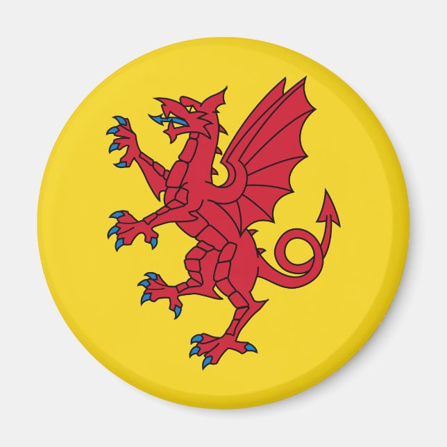 Flag of Somerset Magnet (Front)