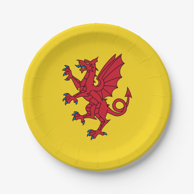 Flag of Somerset Paper Plates (Front)