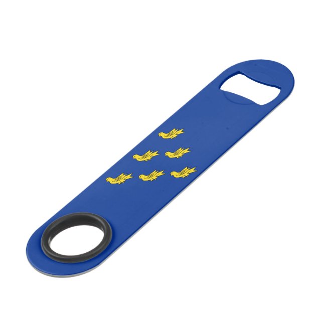 Flag of Sussex Bar Key (Front Angled)