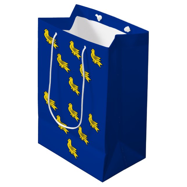 Flag of Sussex Medium Gift Bag (Front Angled)