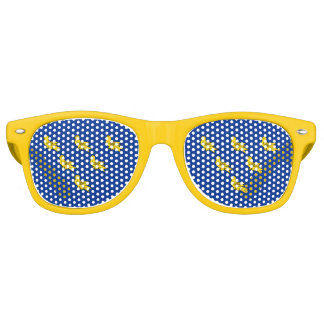 Flag of Sussex Retro Sunglasses