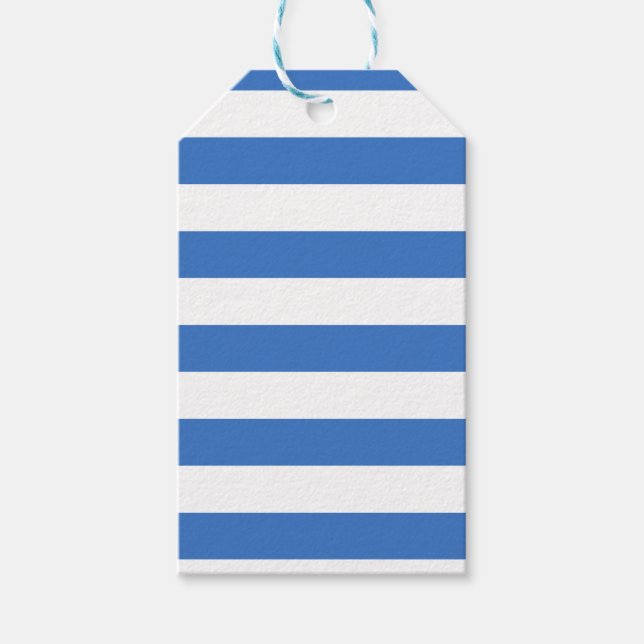Flag of Tallinn, Estonia Gift Tags (Front)