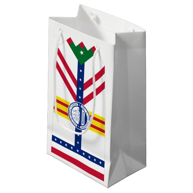 Flag of Tampa, Florida Small Gift Bag (Front Angled)