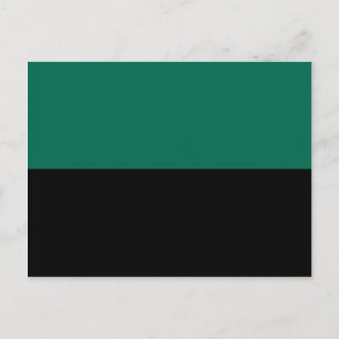 Flag of Texel Postcard