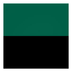 Flag of Texel Poster
