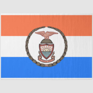 Flag of the Bronx (Borough in New York City) Tissue Paper