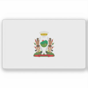 Flag of the city of Monterrey, Mexico