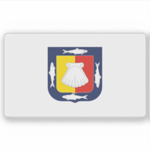 Flag of the state of Baja California Sur, Mexico 