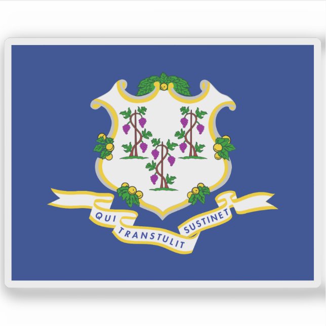 Flag of the state of Connecticut, USA (Front)