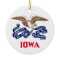 Flag of the state of Iowa