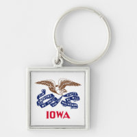 Flag of the state of Iowa