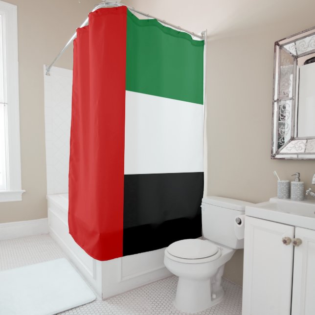 Flag of the United Arab Emirates (In Situ)