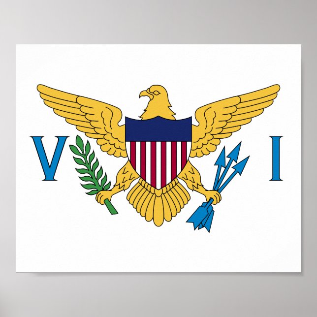 Flag of the United States Virgin Islands Poster (Front)