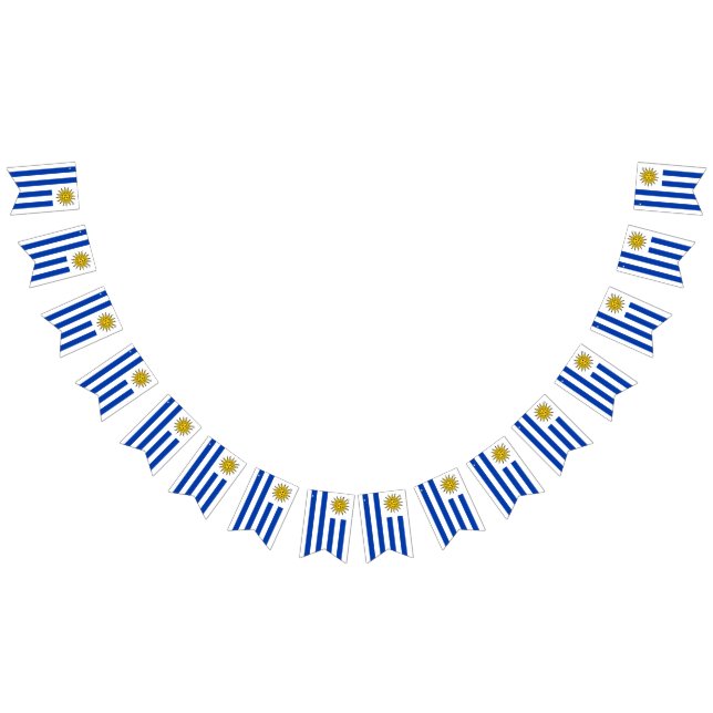 Flag of the Uruguay (All)
