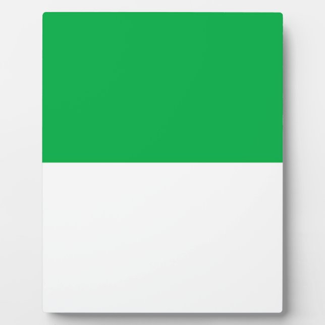 Flag of Vlieland Plaque (Front)