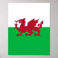 Flag of Wales (Cymru)