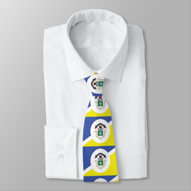 Flag of Winnipeg, Manitoba Neck Tie (Tied)