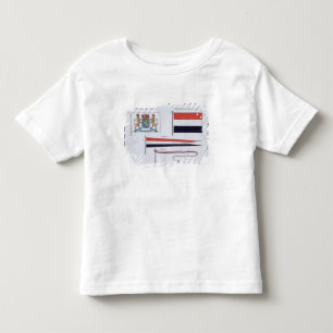 Flags from the Kingdom of the Netherlands, from a Toddler T-shirt