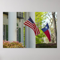 Flags, Goodman LeGrand House, Tyler, Texas