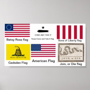 Flags of the American Revolution Poster