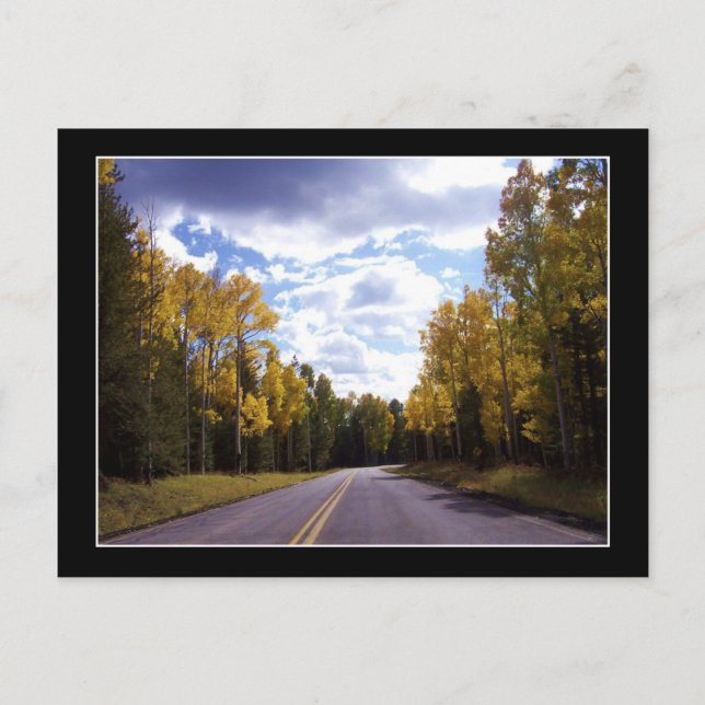 Flagstaff Arizona dans la carte postale Automne (Devant)