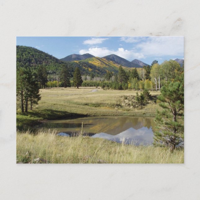 Flagstaff Locket Meadow Postcard (Front)