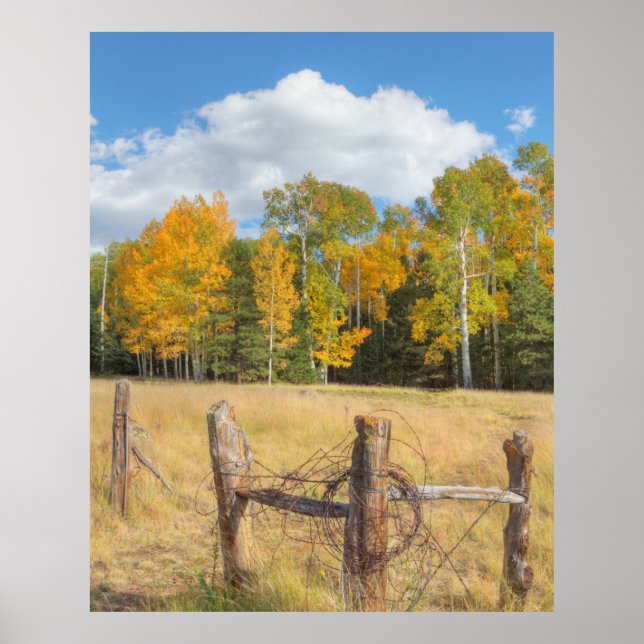 Flagstaff meadow poster (Front)