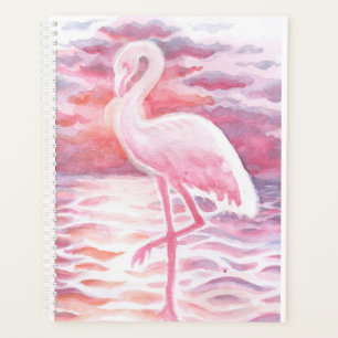 Flamant rose