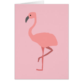Flamant rose