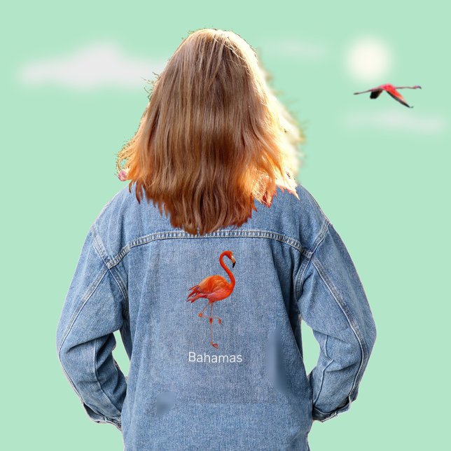 Flamant rose (Créateur téléchargé)