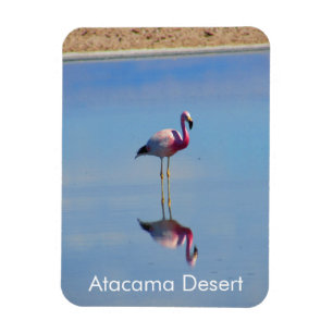 Flamant rose Atacama Desert Flexible Magnet