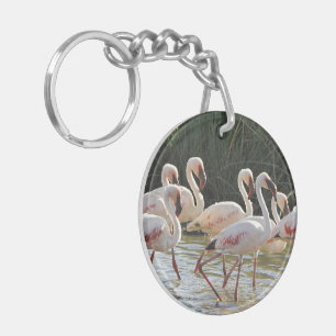 Flamant rose Bird Office Accueil École Destiny Des