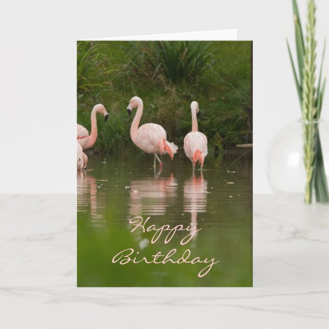 Flamant rose Bonne carte d'anniversaire (Devant)