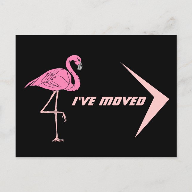 Flamant rose de carte postale J'ai déplacé Nouvell (Devant)